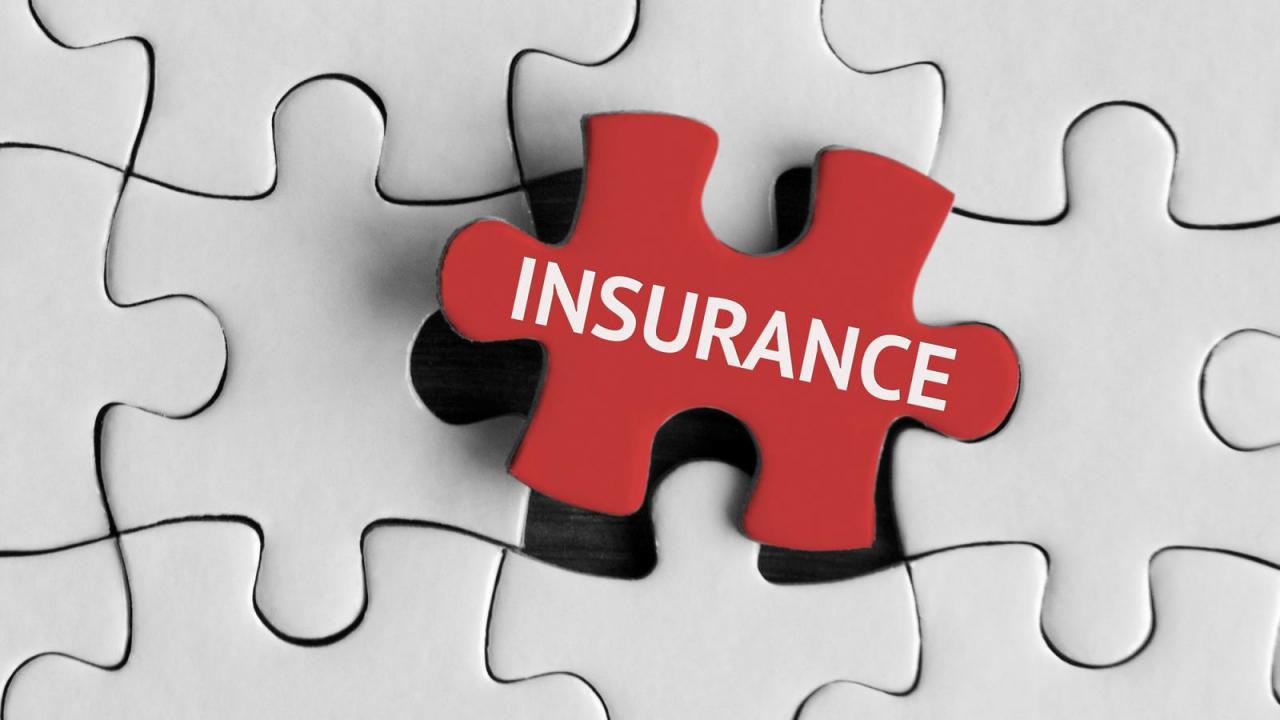The Importance of Professional Insurance Data Entry Today